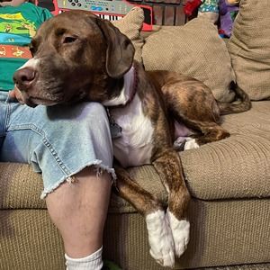 Meet your Posher, Frank